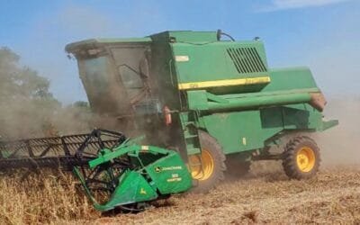 En Paraguay, el clima generó distintos escenarios de producción agrícola.