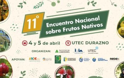 En abril será el 11º Encuentro Nacional sobre Frutos Nativos