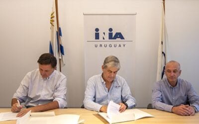 INIA y Lumin firman un convenio que potencia la investigación en eucalyptus y en pino