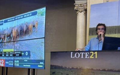Hoy continúa el remate de Lote 21 con transmisión de Todo El Campo.