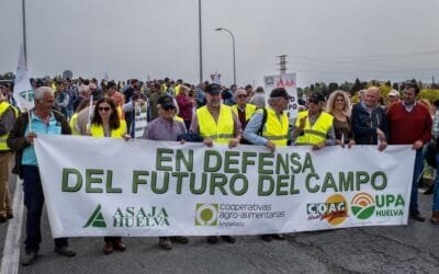 Productos africanos siguen causando preocupación sanitaria y de mercado en España.
