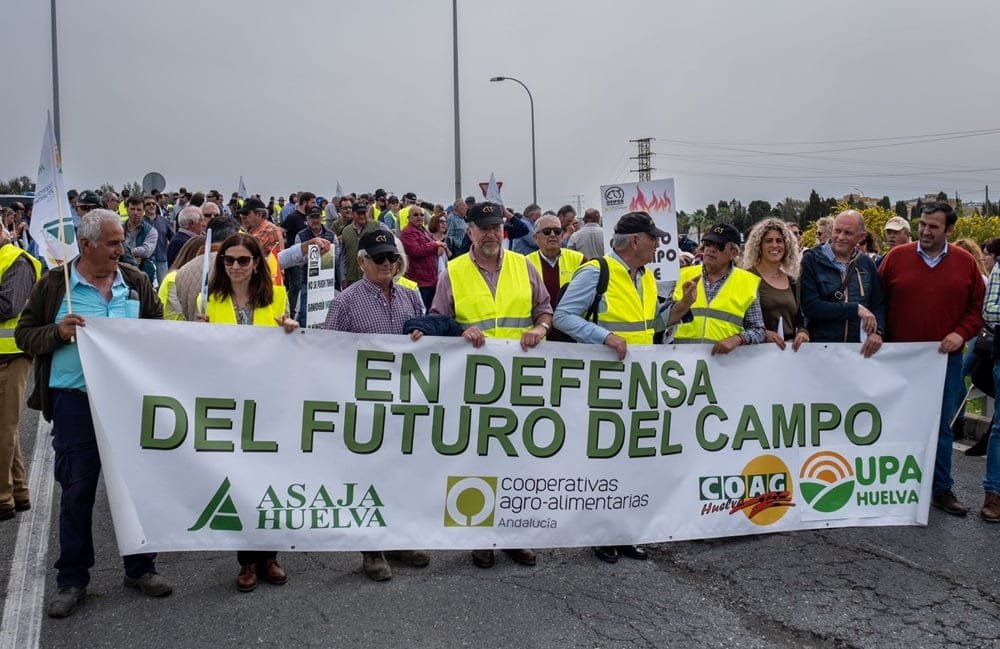 Productos africanos siguen causando preocupación sanitaria y de mercado en España.