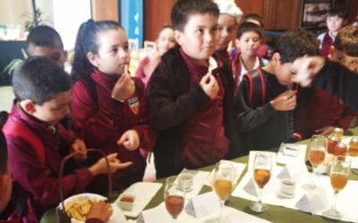 Actividades por el Día Mundial de las Abejas 2024.