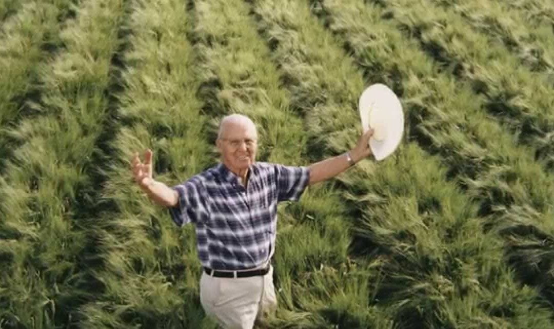 Norman Borlaug, el hombre que más vida ha salvado en la historia del planeta.