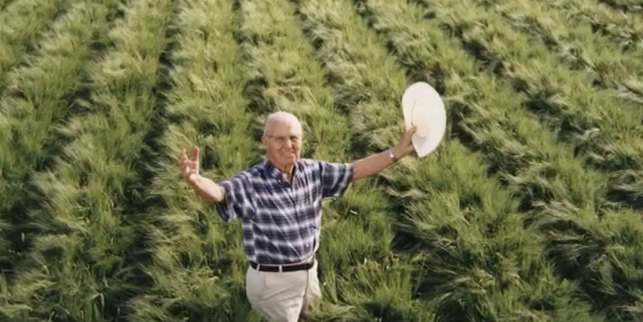 Norman Borlaug, el hombre que más vida ha salvado en la historia del ...