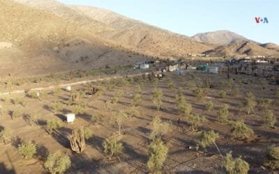 En Chile un innovador proyecto utiliza residuos de cabello humano para hacer frente a la escasez hídrica