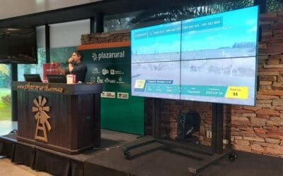 Continúa el remate de Plaza Rural con alto nivel de colocación.