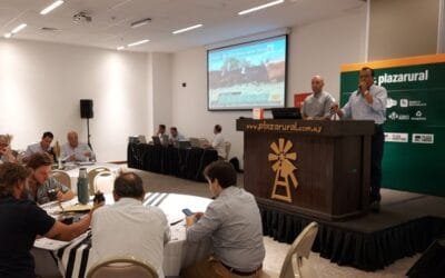 Hoy y mañana Plaza Rural remata voluminosa oferta.