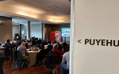 Plaza Rural cerró el remate con el 96% de ventas.