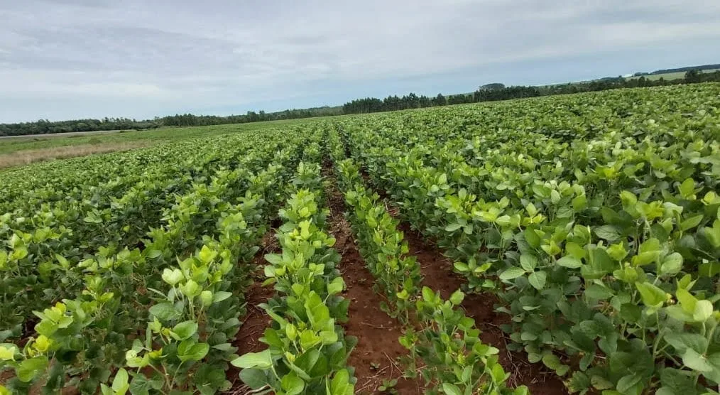 El agro paraguayo se refuerza como medida preventiva para El Niño que se viene.