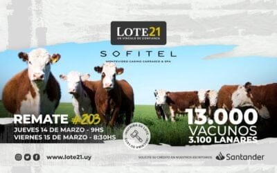Lote 21 rematará este jueves y viernes desde el hotel Sofitel.