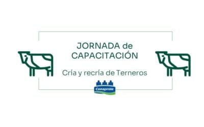 Conaprole realizará jornada de capacitación sobre terneros.