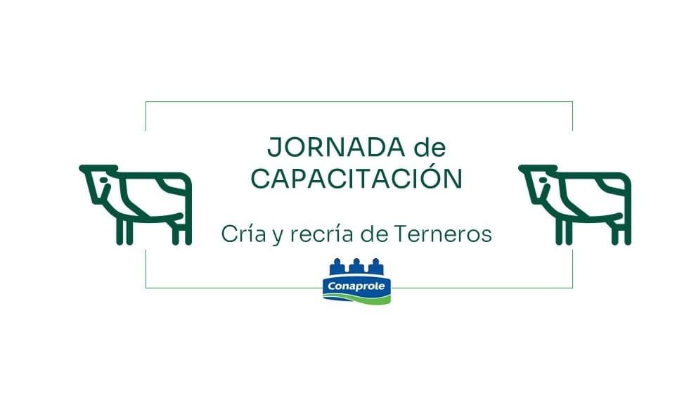 Conaprole realizará jornada de capacitación sobre terneros.