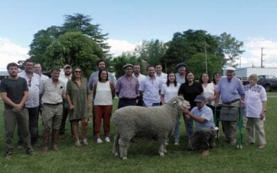 Jaso & Jaso y Daniel Dutra: alta dispersión y buenos promedios en el 35ª remate de Doña Elisa y San Gerardo.