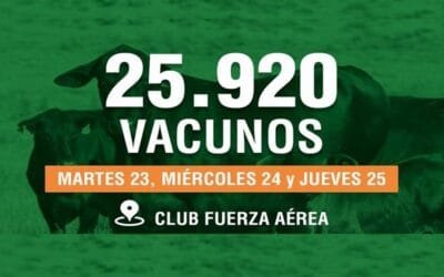 Desde las 09.00 Plaza Rural rematará importante oferta de terneros y terneras.