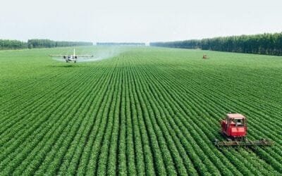 China lanza campaña para aumentar producción de cereales.