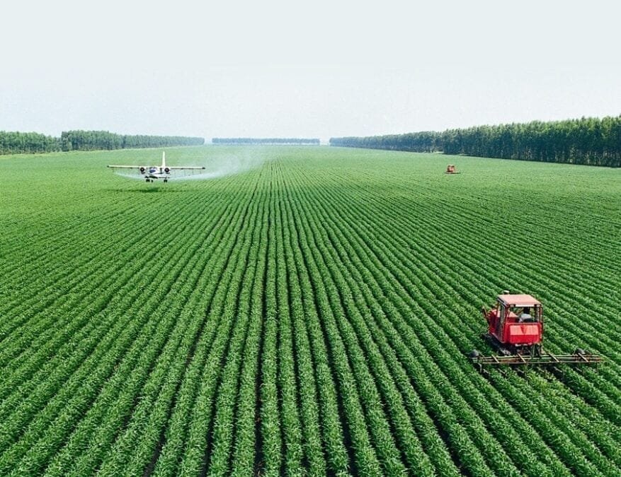 China lanza campaña para aumentar producción de cereales.