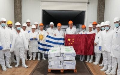 Primera exportación de carne equina congelada sin hueso a China.