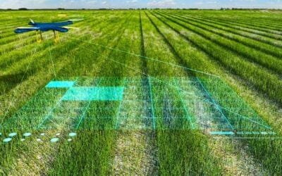 Inteligencia artificial en la agricultura, una realidad cambiante y sorprendente que ya está entre nosotros.
