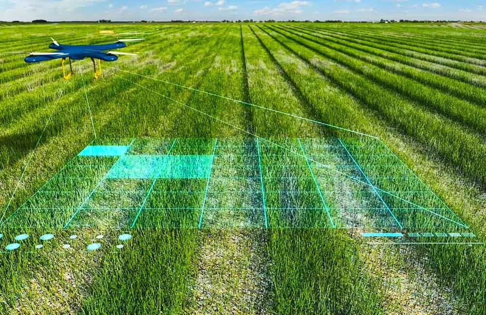La inteligencia artificial potencializa al agro.