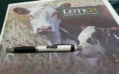 Lote 21 cerró un remate con el 91,7% de la oferta vendida.