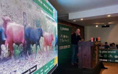 Plaza Rural continúa rematando hoy, desde las 09.00.