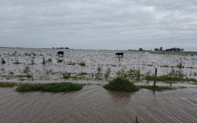 Obras en Rocha no cumplen con el objetivo de evitar las inundaciones.