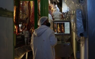 Están disponibles, para ganaderos, las imágenes de SAT