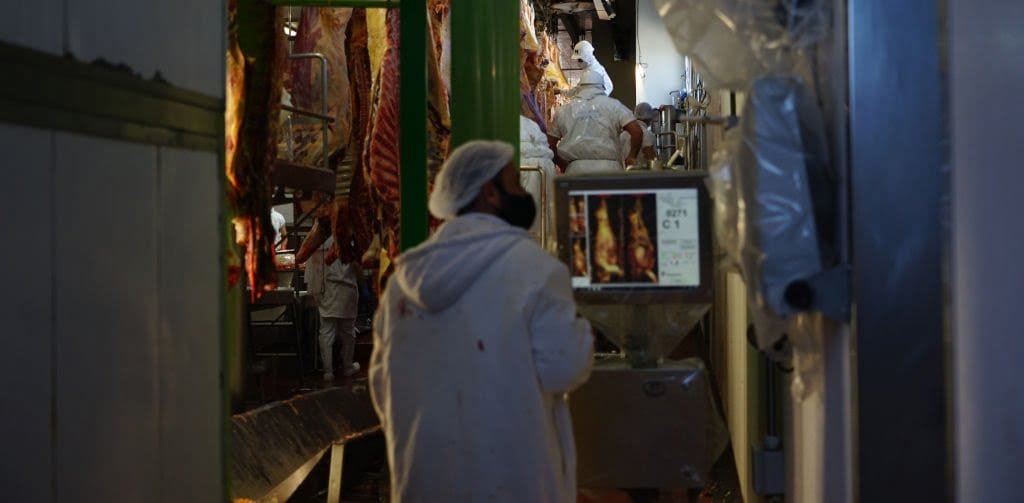 Están disponibles, para ganaderos, las imágenes de SAT