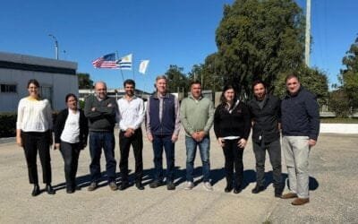 USDA está desarrollando auditoría.