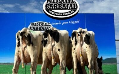 Waldemar Carbajal vendió muy buena oferta de Wilson Cabrera e Hijos.