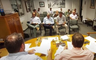 Mercado de haciendas: mercado estables y precios al alza