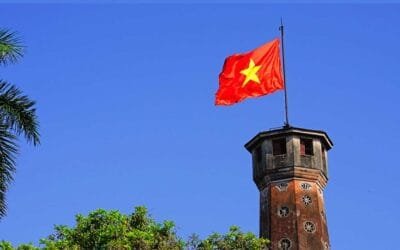 Vietnam notifica su primer caso de infección de la influenza aviar en un ser humano.