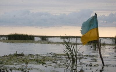 A pesar de la invasión rusa, Ucrania obtiene mejores resultados en la cosecha.