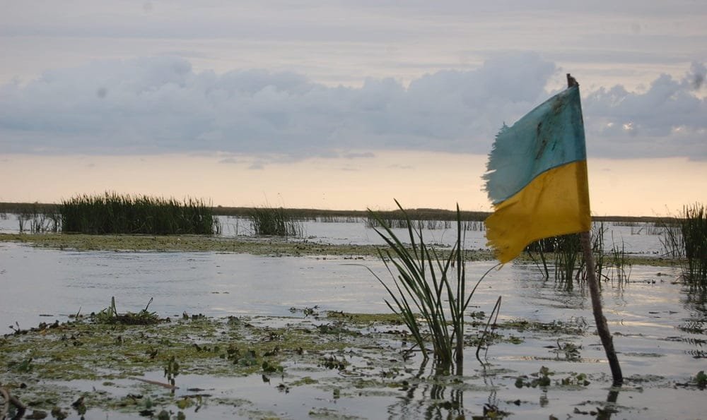 A pesar de la invasión rusa, Ucrania obtiene mejores resultados en la cosecha.