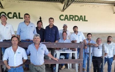 Ventas totales de Di Santi en Cardal.