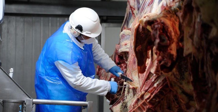 Uruguay fue habilitado para exportar estómagos (mondongos) vacunos a China.