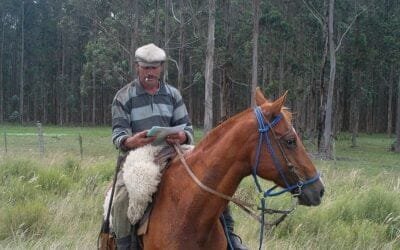 Reforma del PIT-CNT llevará a Uruguay a un espiral de gastos inabordables a mediano y largo plazo.