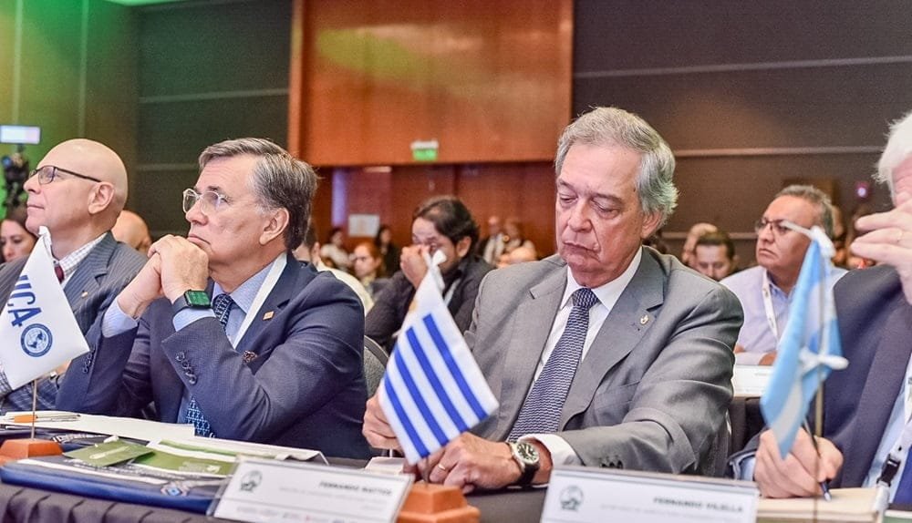 Mattos disputa la titularidad de IICA; la elección es en noviembre.