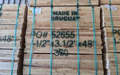 Exportación de madera aserrada cumpliendo normativa europea sobre deforestación