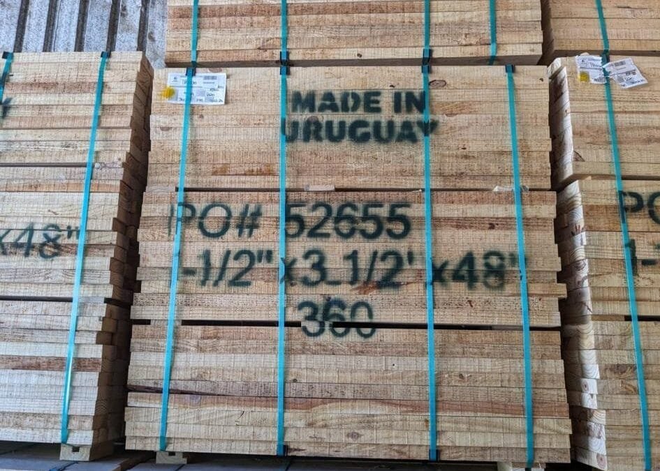 Exportación de madera aserrada cumpliendo normativa europea sobre deforestación