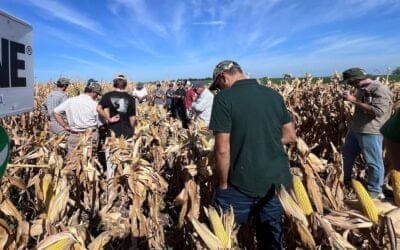 ADP organiza recorrida de campo con el fitopatólogo Marcelo Carmona.