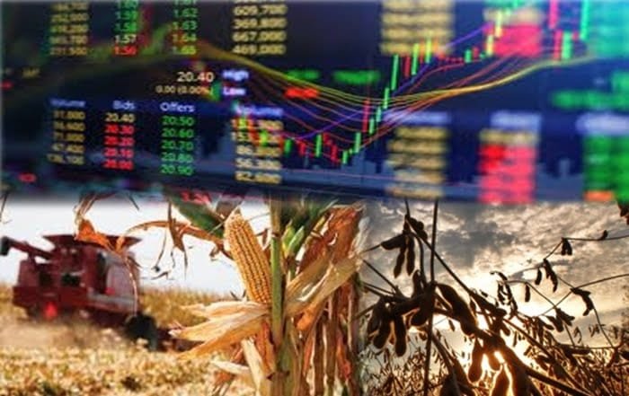 Incertidumbre en cosecha argentina y proyección estadounidense 24/25.