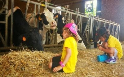 11ª edición del concurso fotográfico El Tambo 2024.