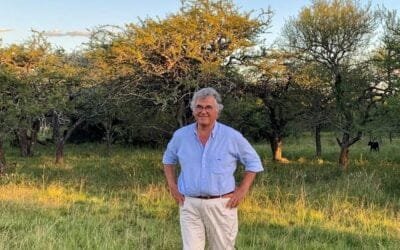 Argentina. Empresa entrerriana logra la primera Declaración Ambiental en la producción ganadera.