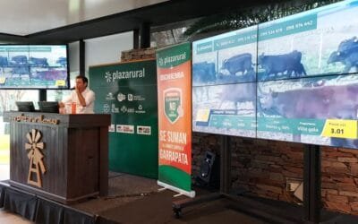 Plaza Rural con todo: 99,42% de colocación.