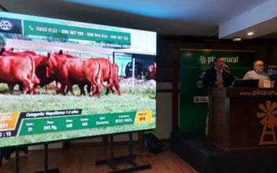 Plaza Rural vendió el 95% de los vacunos.