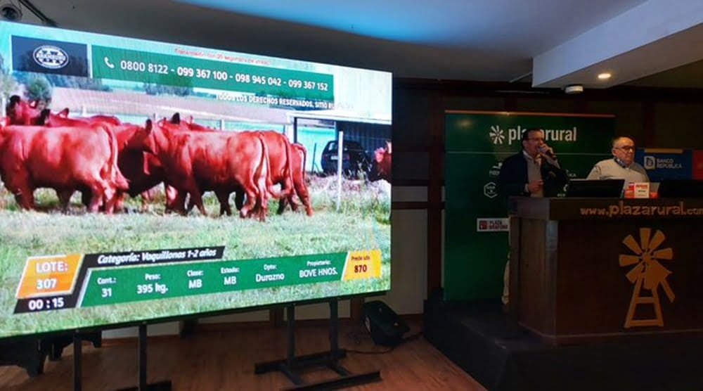 Plaza Rural vendió el 95% de los vacunos.