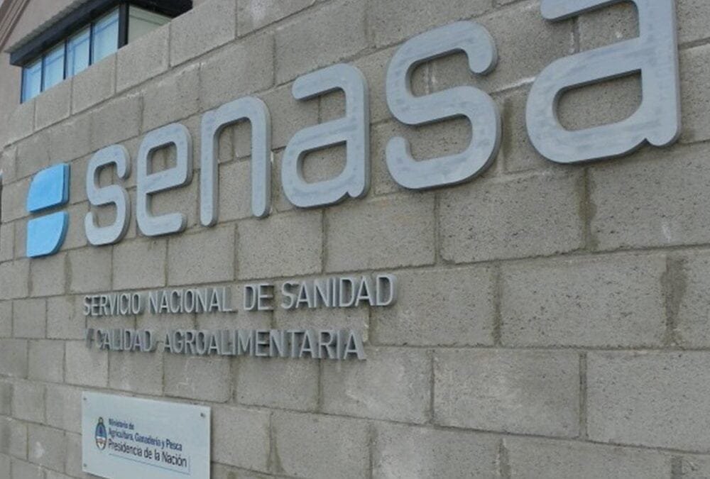 Argentina autorizó tres insecticidas para controlar la chicharrita del maíz.