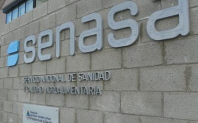 Argentina autorizó tres insecticidas para controlar la chicharrita del maíz.